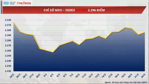 24/03/2025 Thị trường hàng hóa: Giá đậu tương giảm về mức 370 USD/tấn