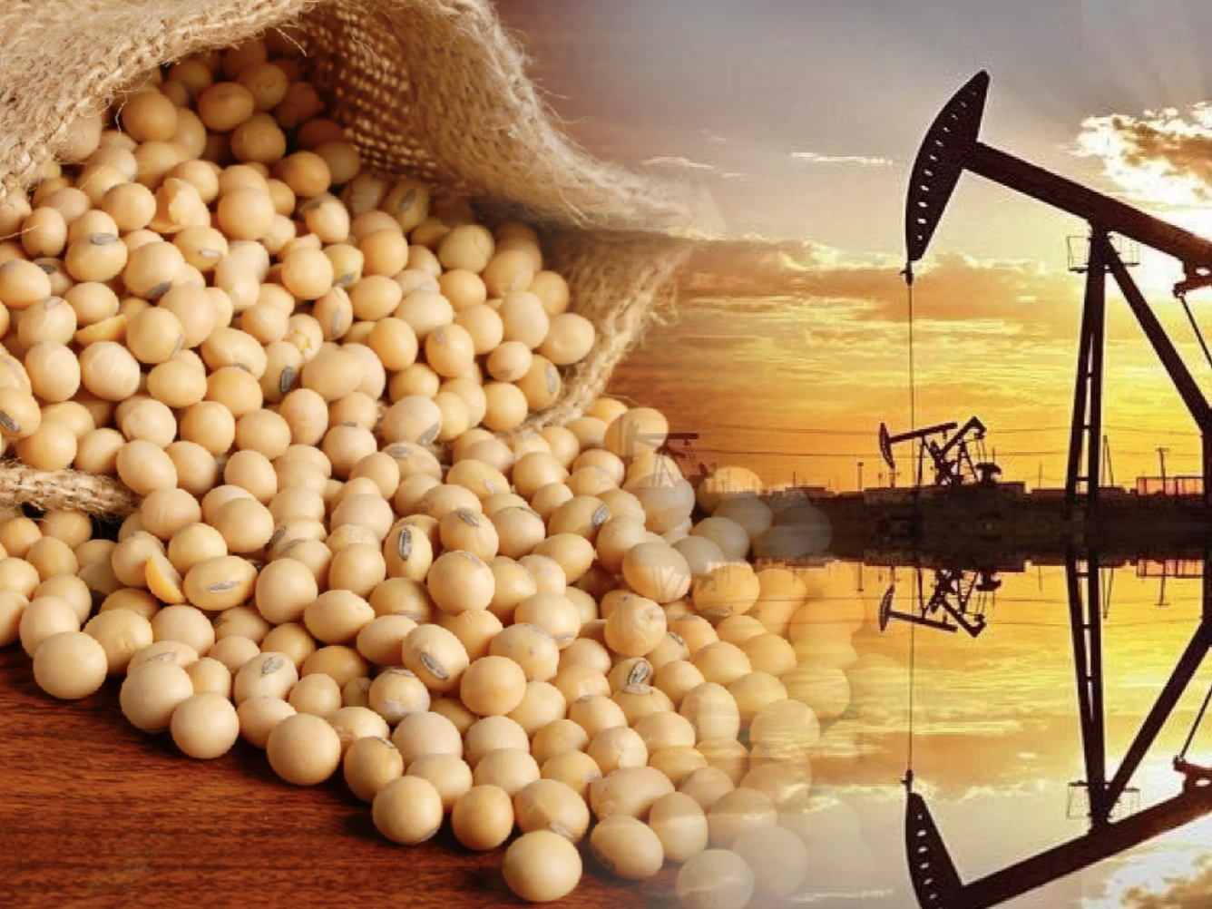 Áp lực bán lấn át đà tăng của dầu thô, MXV-Index tiếp đà suy yếu