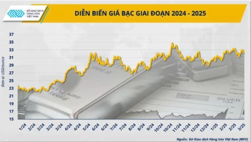 12/03/2025 Bạc sẽ là mặt hàng kim loại đầu tư hấp dẫn nhất
