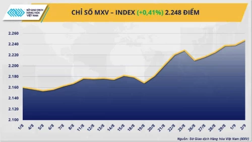 Dòng tiền chảy mạnh đẩy MXV-Index lên đỉnh gần hai tháng