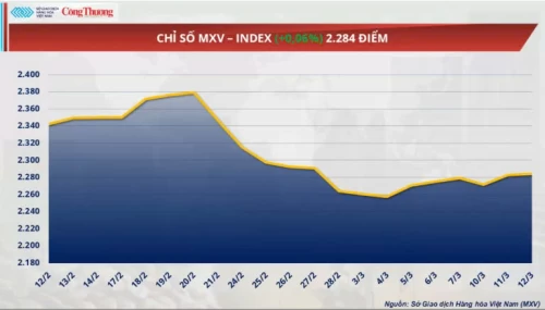 12/03/2025 Giá cà phê Robusta giảm về mức 5.508 USD/tấn