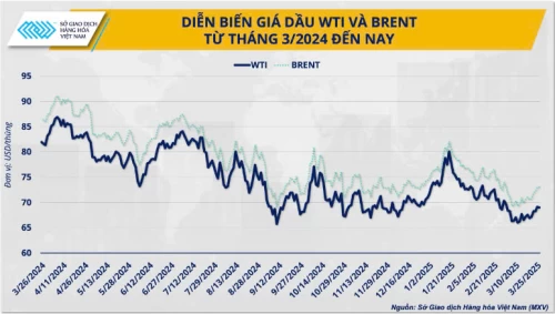 Giá dầu và tình thế tiến thoái lưỡng nan của OPEC