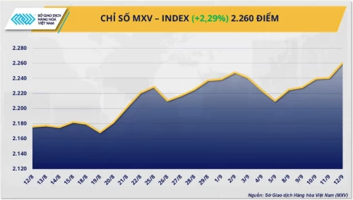 MXV-Index tăng mạnh nhờ lực đẩy từ nhóm nông sản và năng lượng