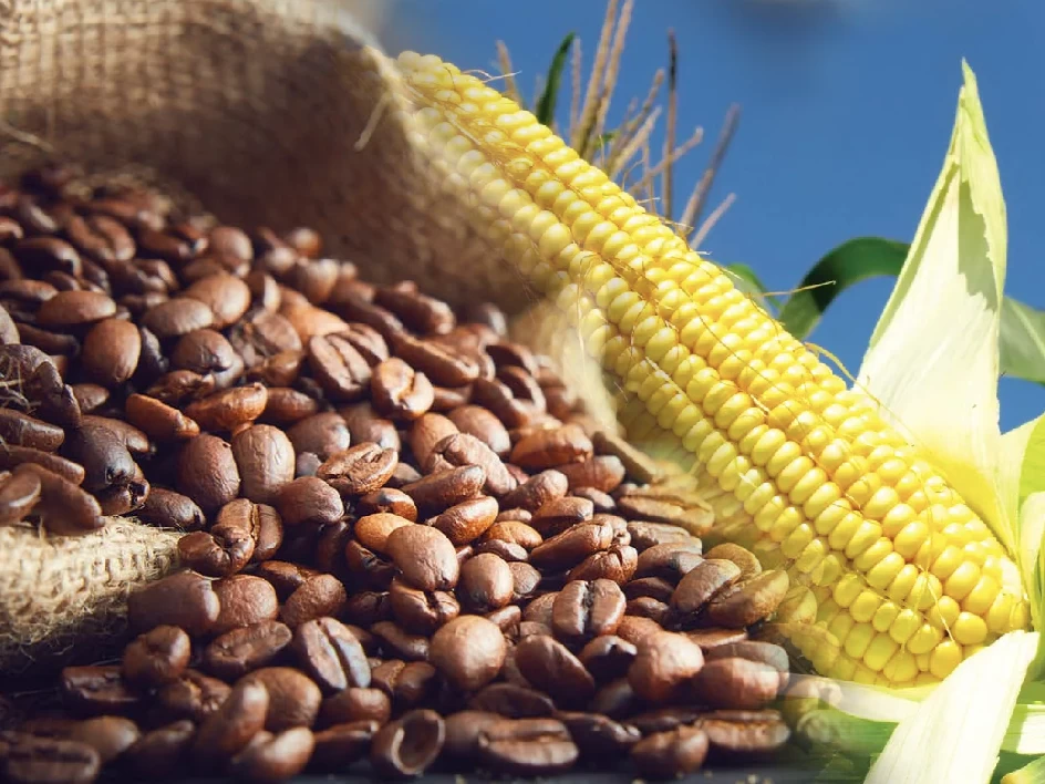 Thanh khoản mỏng trong ngày cuối năm kéo giá nông sản suy yếu, thị trường hàng hoá diễn biến trầm lắng