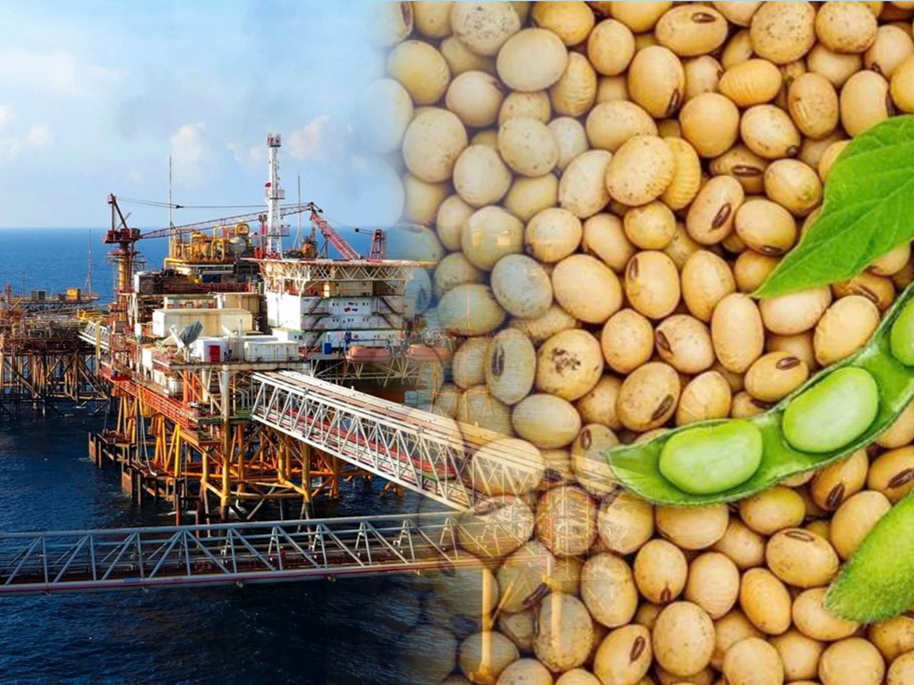 Thị trường nông sản và năng lượng rung lắc mạnh, MXV-Index lùi về 2.800 điểm